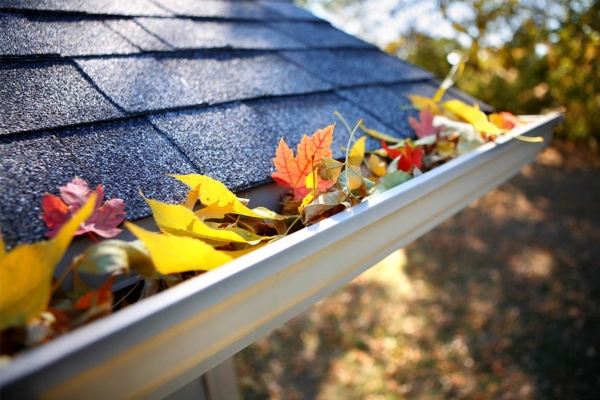 Sierra Services property cleaning project in Whistler BC